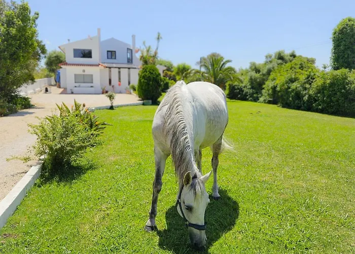 Casa Seahorses B Cottage